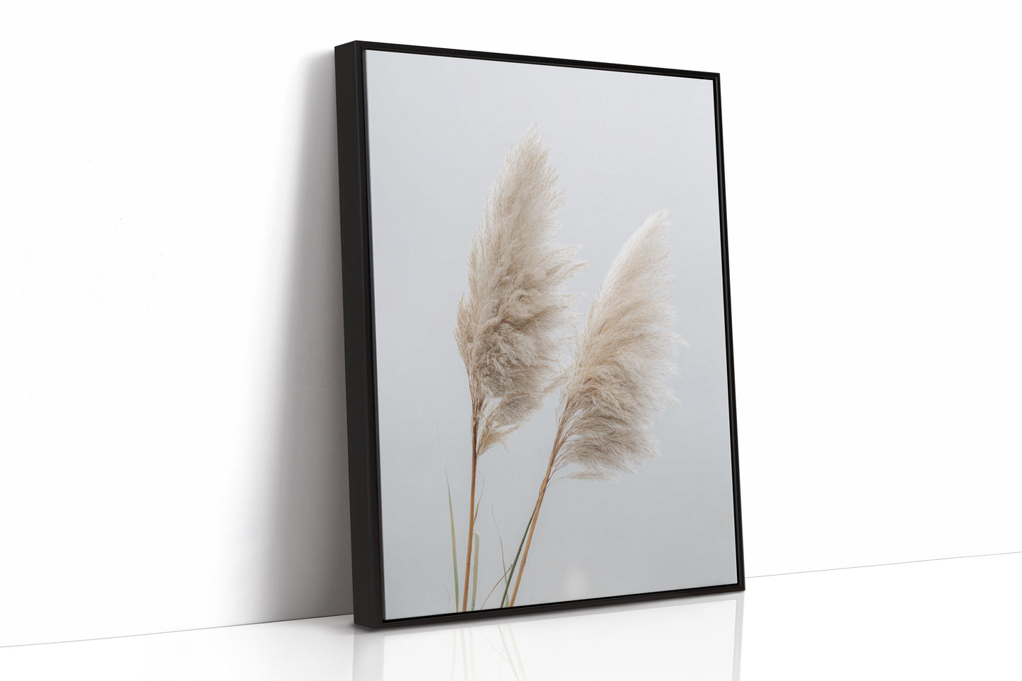 Dancing Grasses In Soft Light