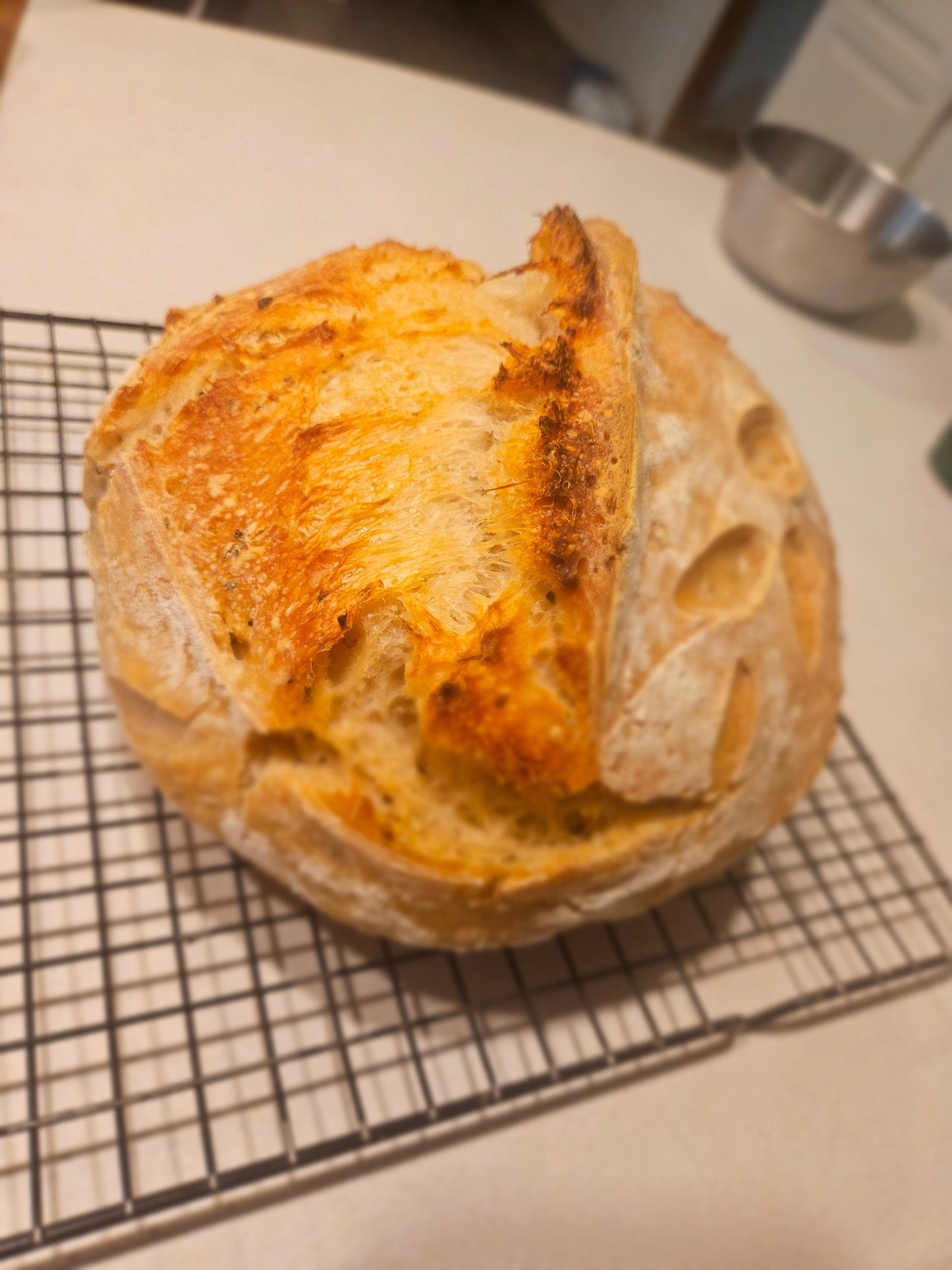 Plain Sourdough