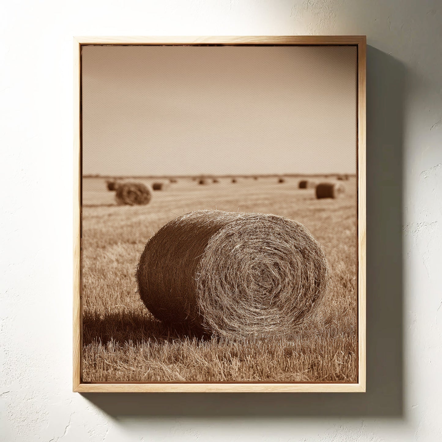 Harvested Echoes of Autumn