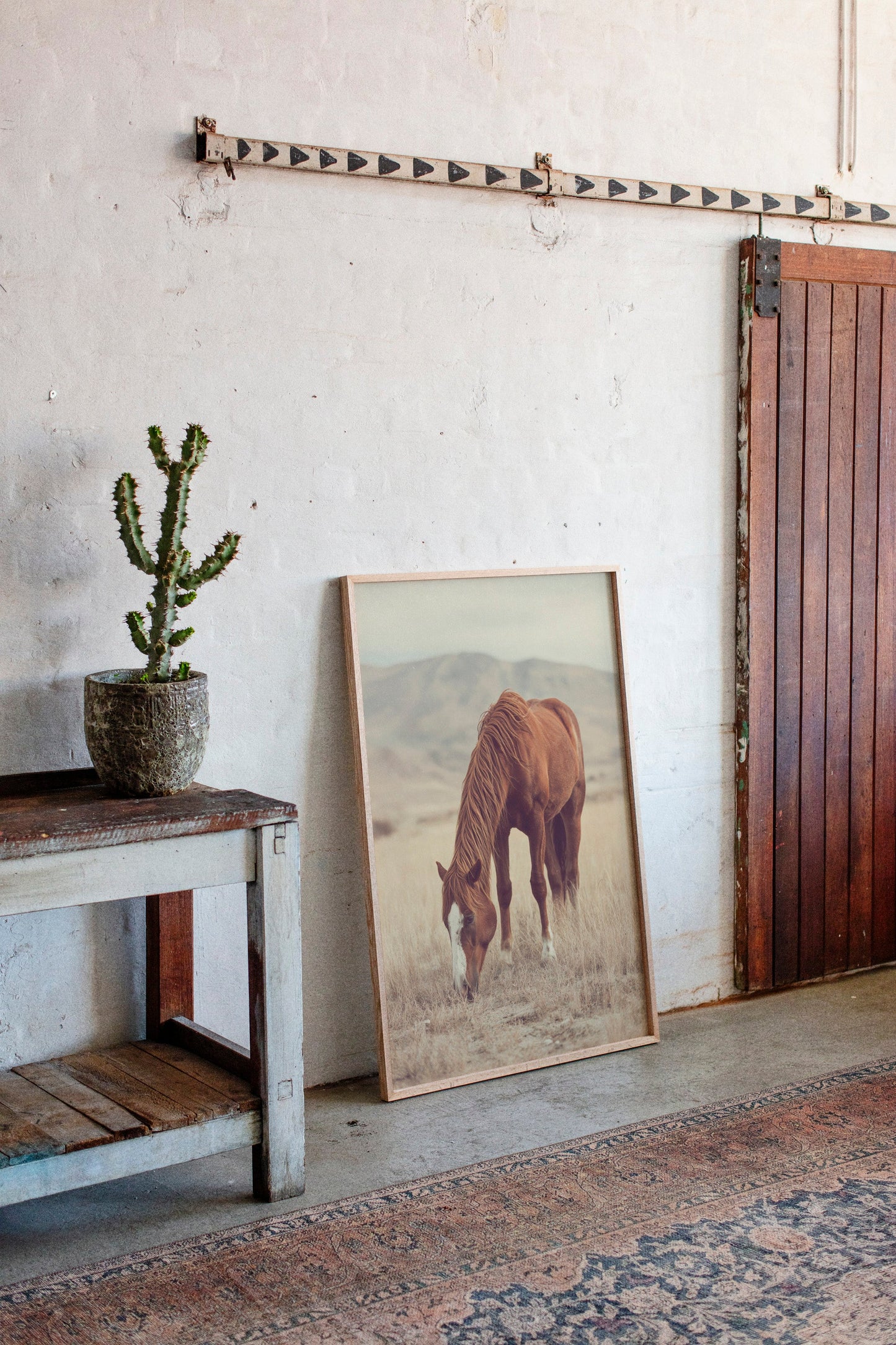 The Last Bite of Sunlit Grass