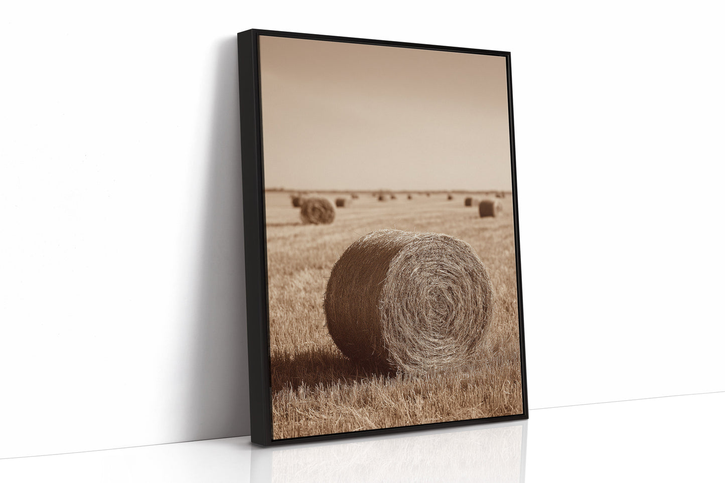 Harvested Echoes of Autumn