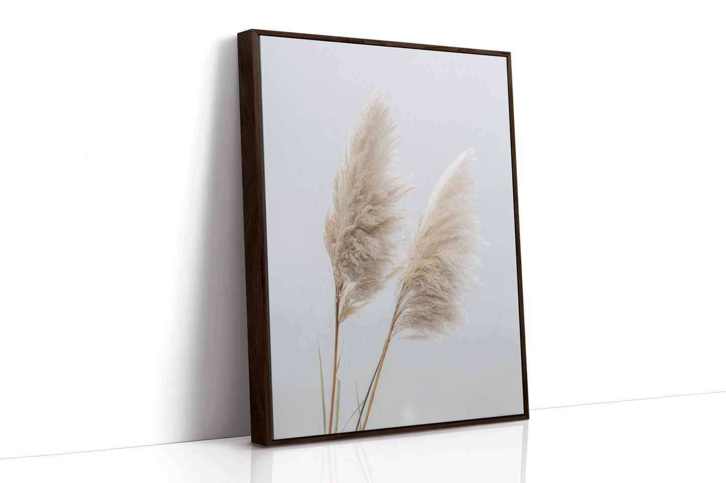 Dancing Grasses In Soft Light