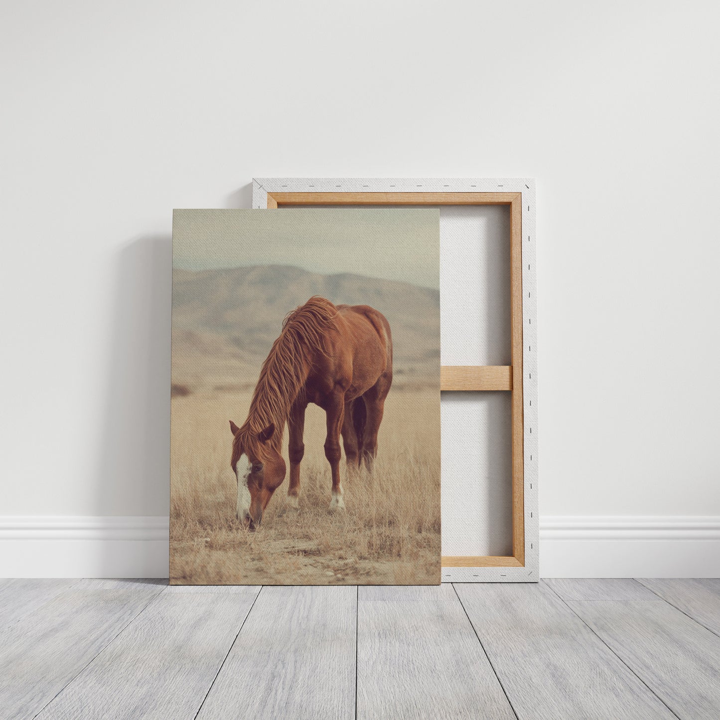 The Last Bite of Sunlit Grass