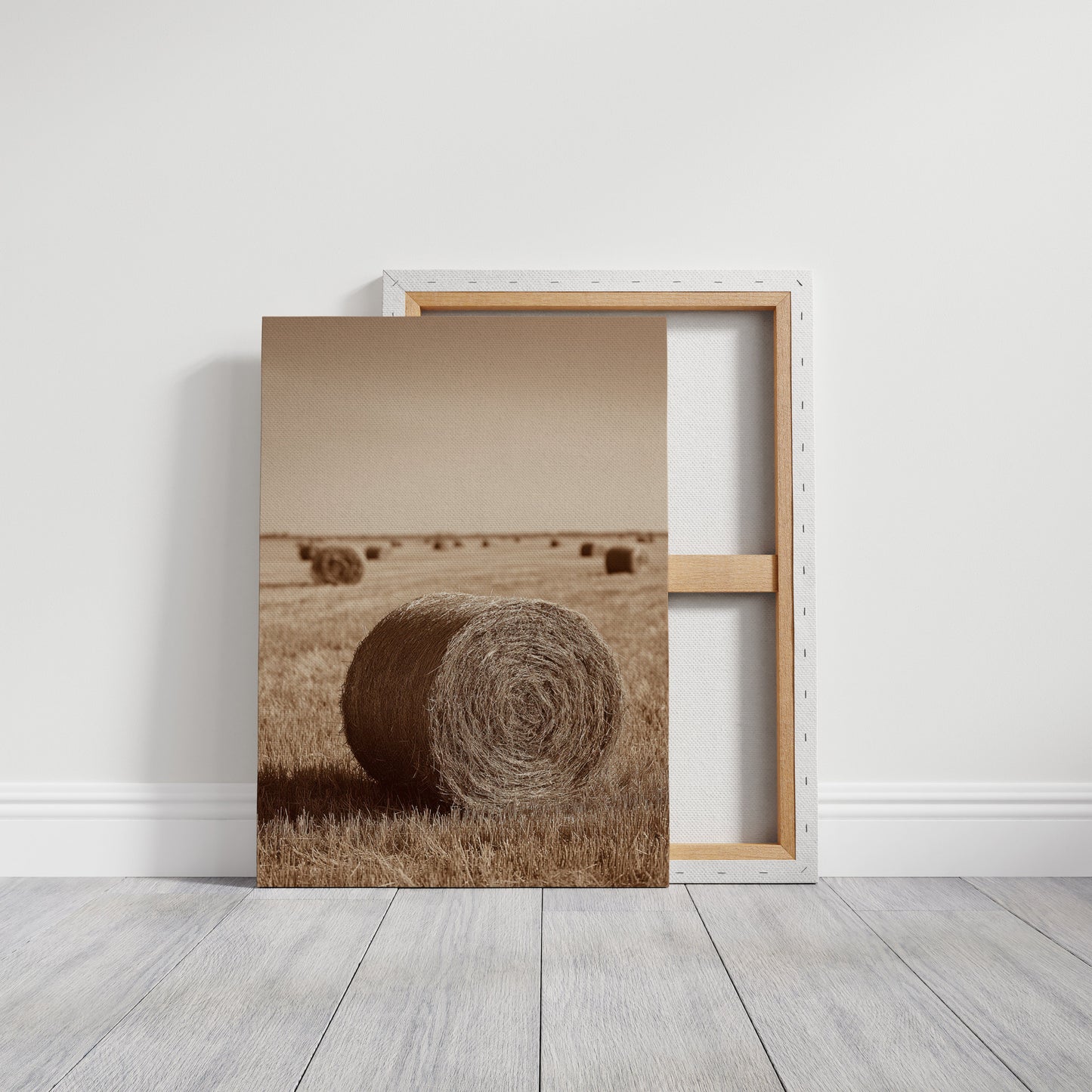 Harvested Echoes of Autumn