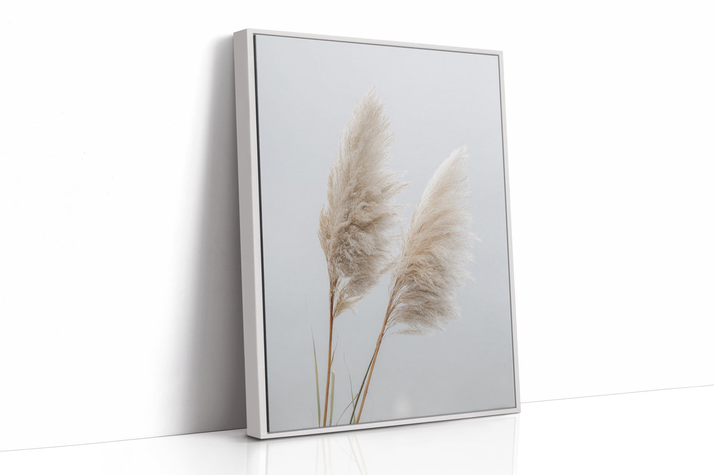 Dancing Grasses In Soft Light